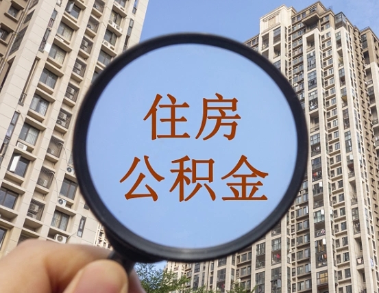 新沂退休后查不到公积金明细了吗（退休后公积金查询不到原因）